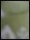 [Click to enlarge]